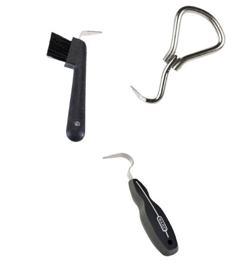 Reconnaître les outils utilisés pour le pansage