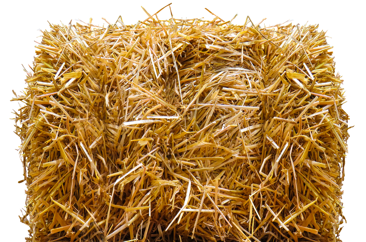 Reconnaître les aliments de base suivants: herbe, foin, paille, céréales, granules.