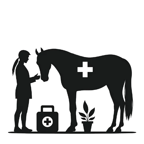 Soins du cheval